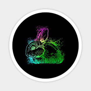 Colorful rabbit Magnet